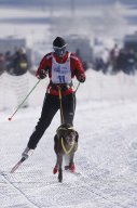 Lenk 2013